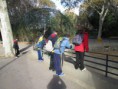 /album/fotogaleria/img-1316-jpg/